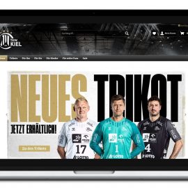 Ungenutzte E-Commerce-Potenziale der Handball-Bundesliga-Clubs 🤾